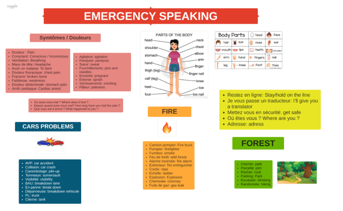 EMERGENCY SPEAKING