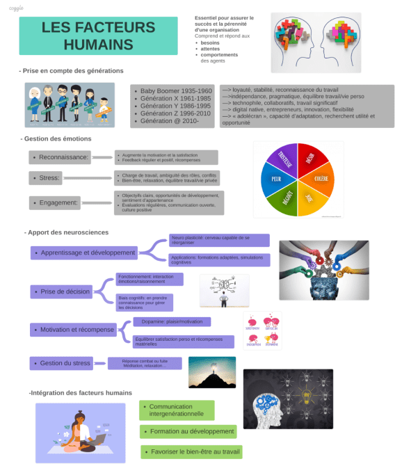 Les facteurs humains